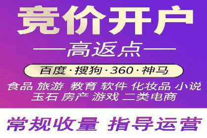专业SEM服务公司案例分析报告